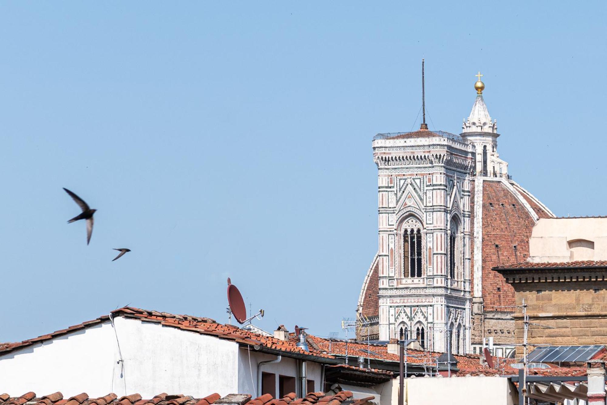 Parione Loft In Town Center Apartment Florence Luaran gambar